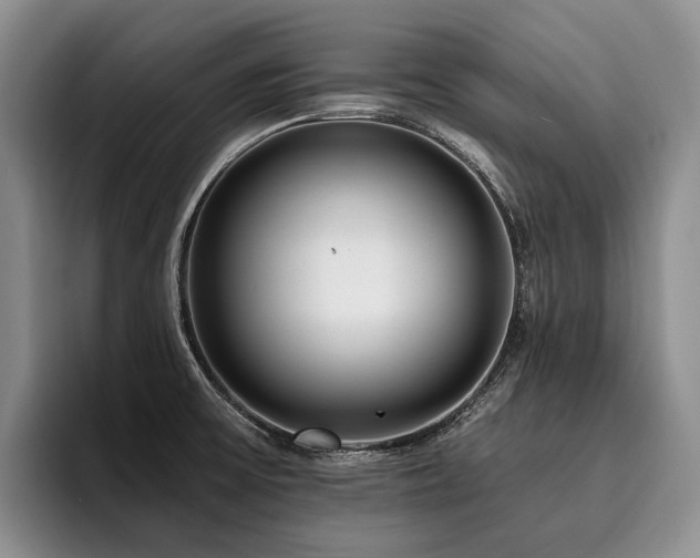 X0000096131475200801181103