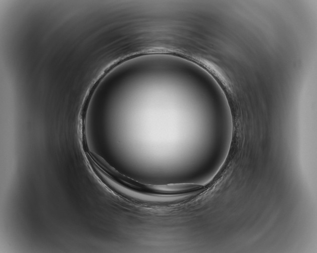 X0000096131476200801181103