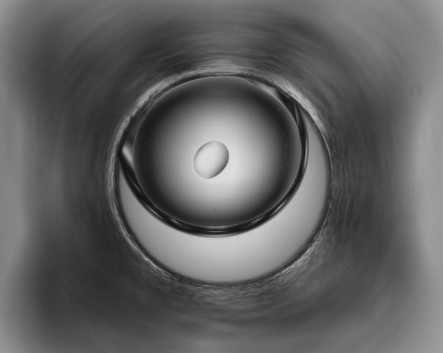 X0000096131477200801181103