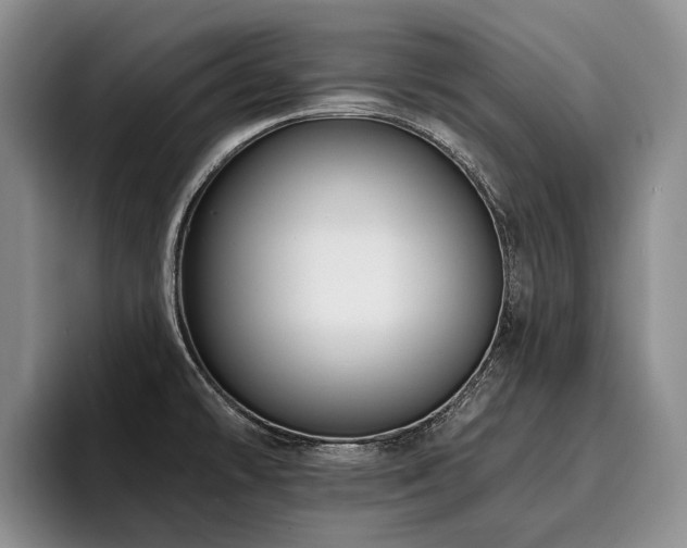 X0000096131478200801181103