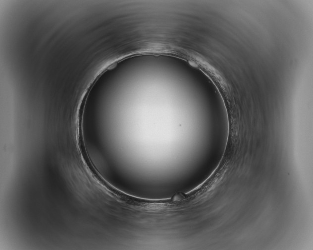X0000096131479200801181103