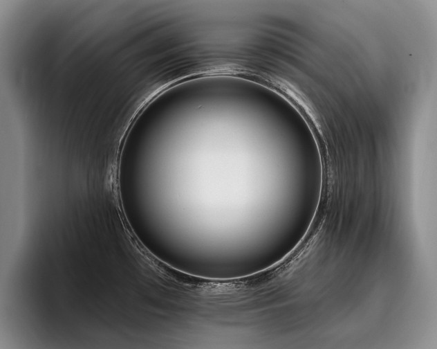 X0000096131481200801181103