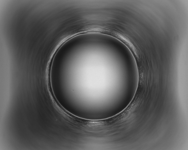 X0000096131483200801181103