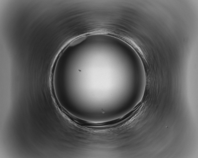 X0000096131484200801181103
