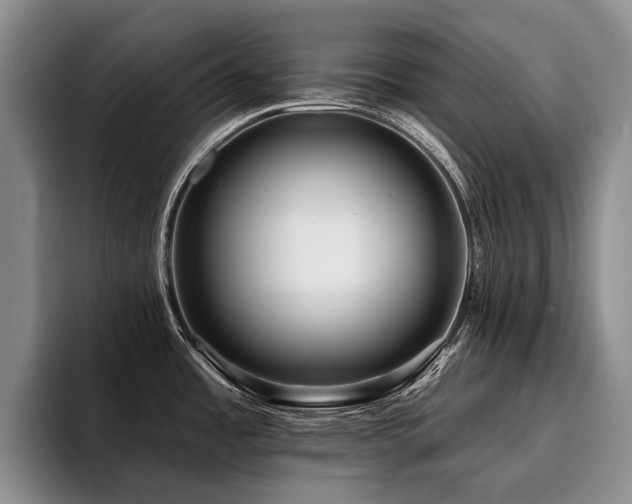 X0000096131485200801181103