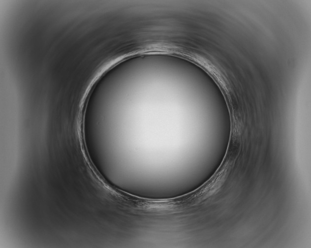 X0000096131486200801181103