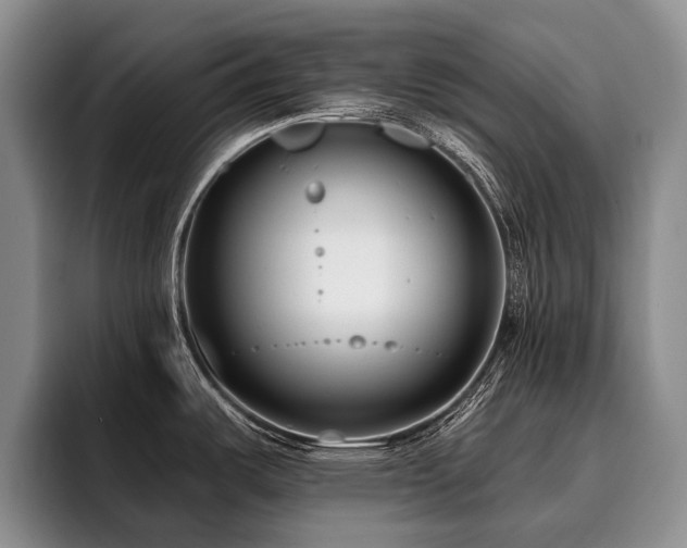 X0000096131487200801181103