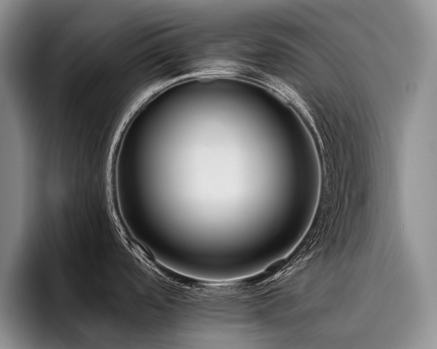 X0000096131488200801181103