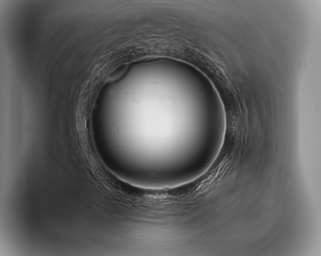 X0000096131489200801181102