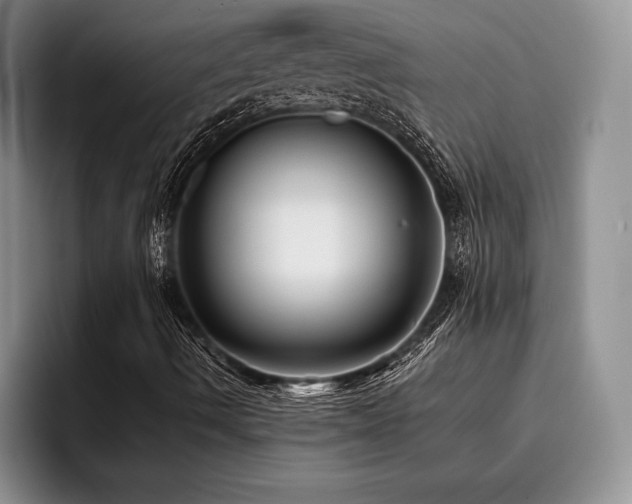 X0000096131490200801181102