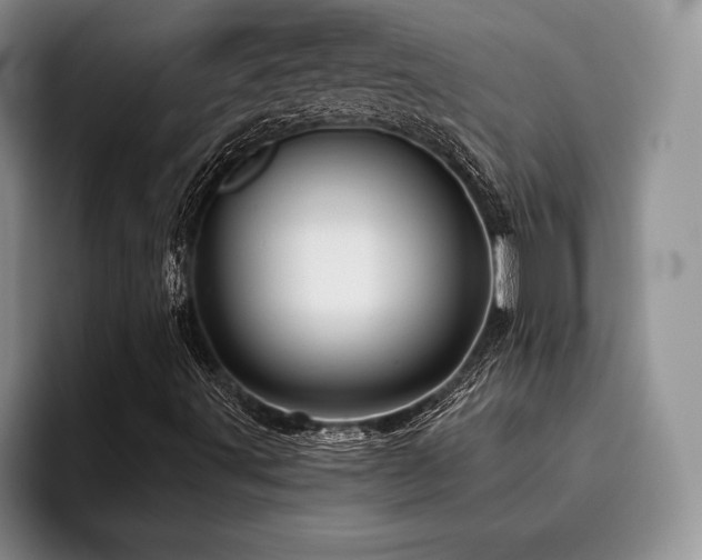 X0000096131491200801181102