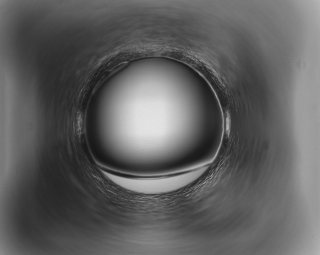 X0000096131492200801181102
