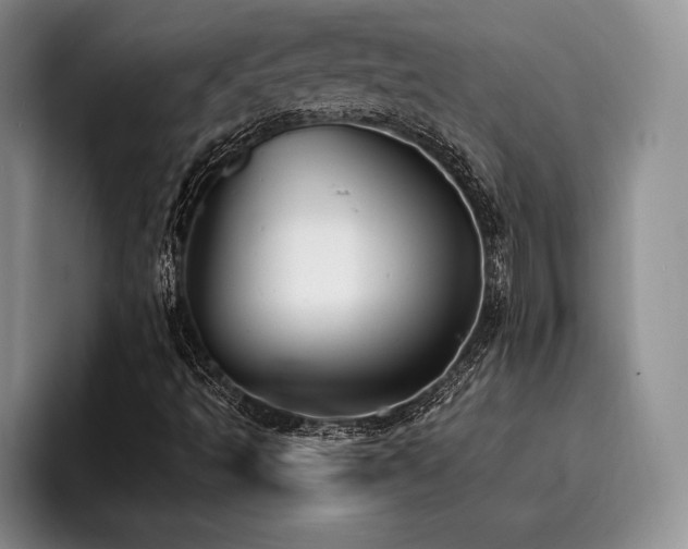 X0000096131493200801181102
