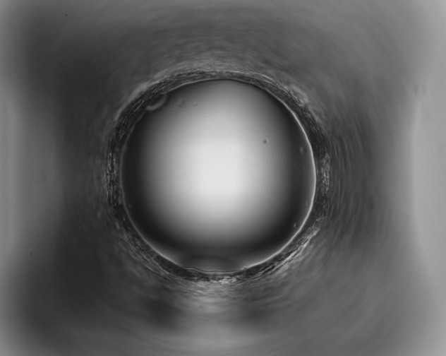 X0000096131494200801181102