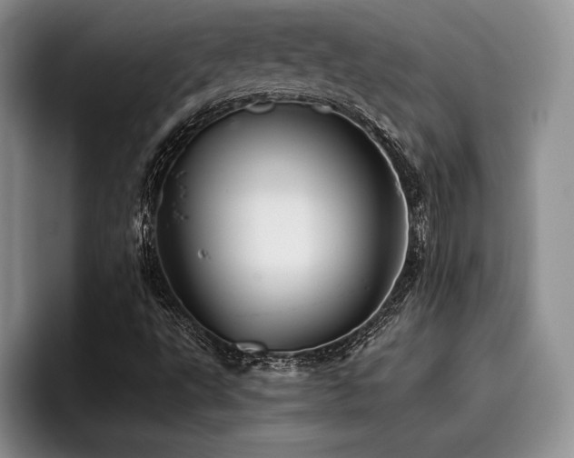 X0000096131495200801181102