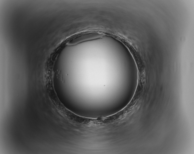 X0000096131496200801181102