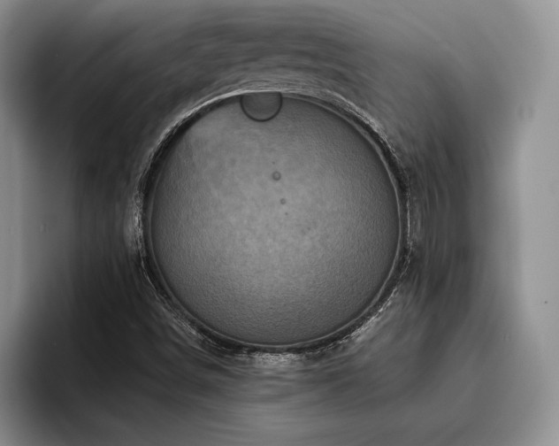 X0000096131498200801181102