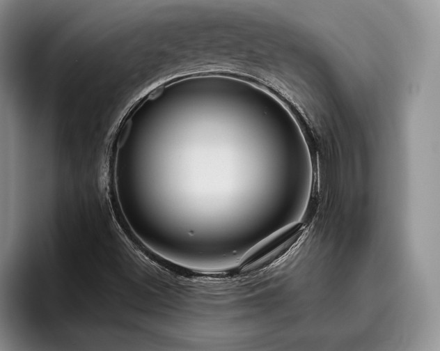 X0000096131500200801181102