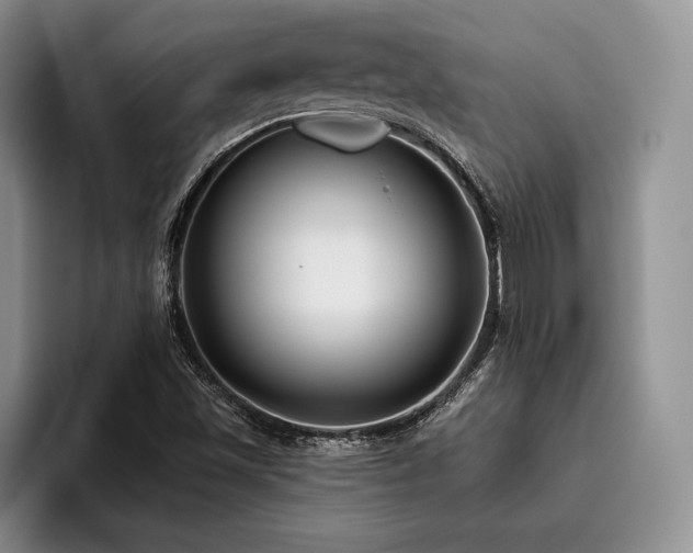 X0000096131501200801181102