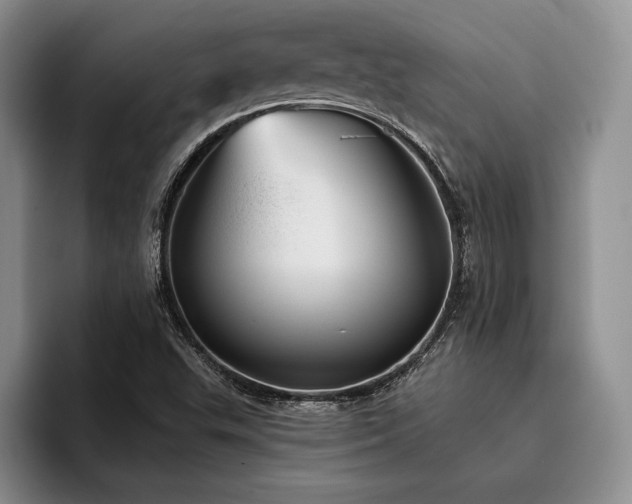X0000096131503200801181102