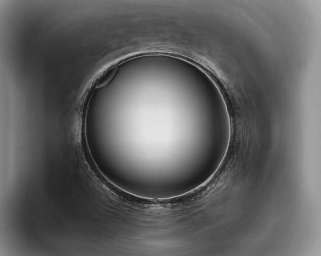 X0000096131504200801181102