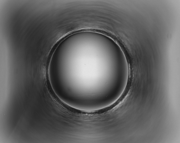 X0000096131505200801181102