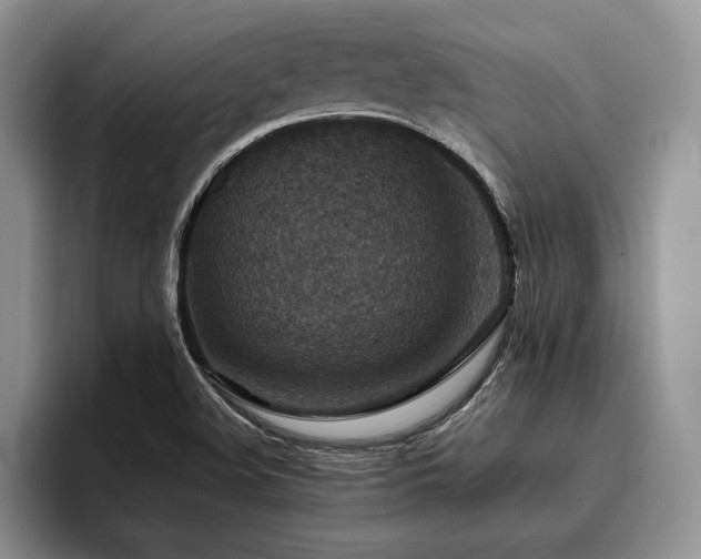 X0000096131508200801181102