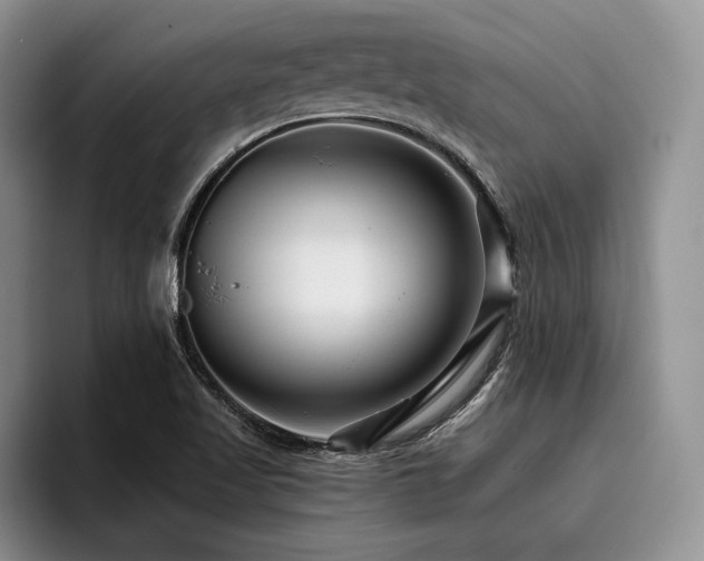 X0000096131509200801181102