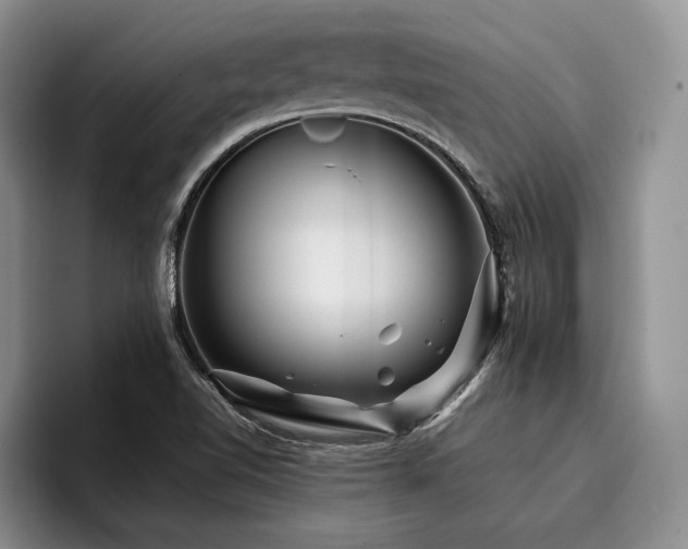 X0000096131510200801181102