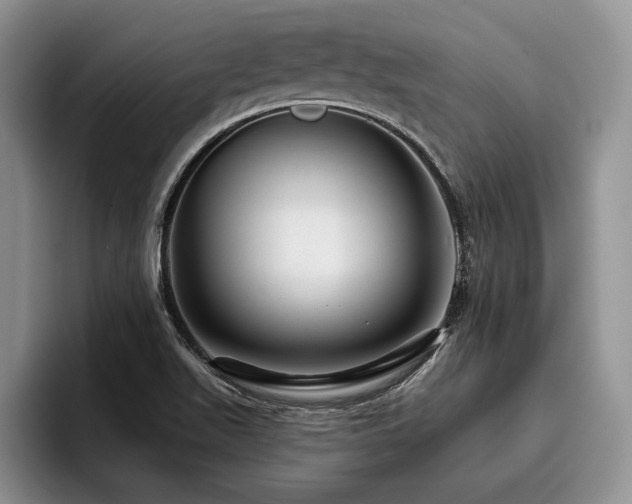 X0000096131511200801181102