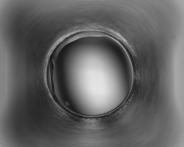X0000096131512200801181102