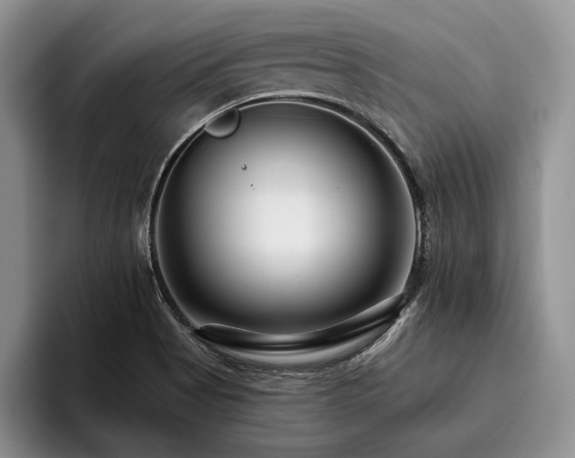 X0000096131513200801181102