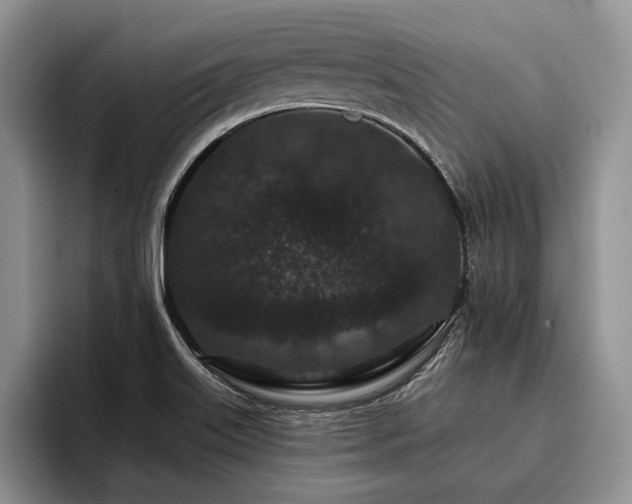X0000096131515200801181102