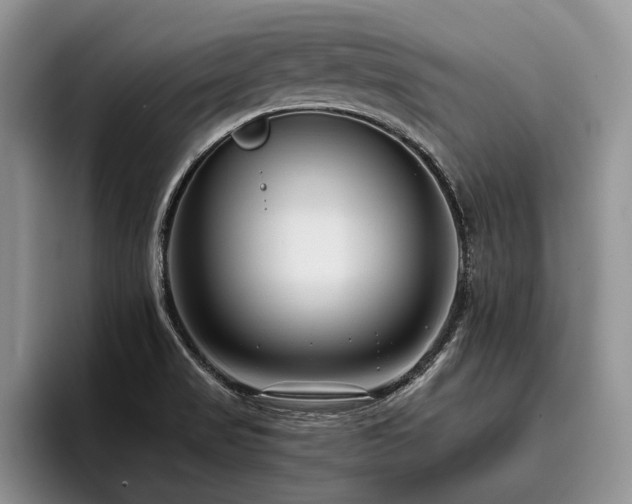 X0000096131517200801181102