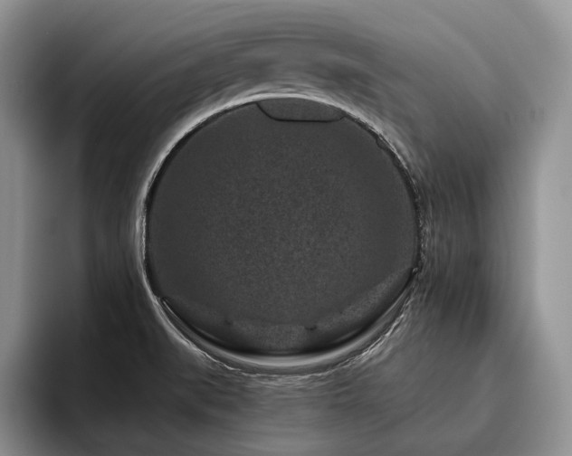 X0000096131519200801181102