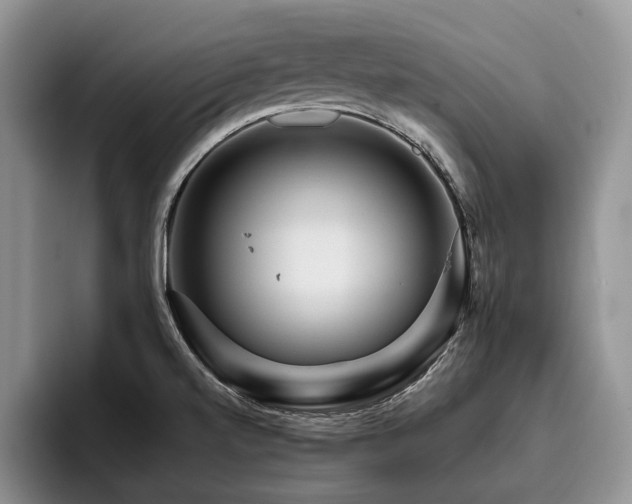 X0000096131520200801181102