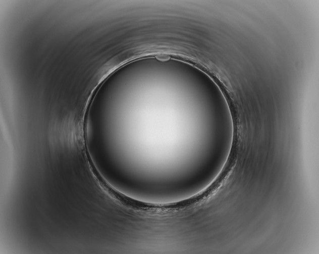 X0000096131521200801181102