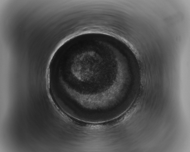 X0000096131522200801181102