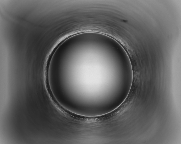 X0000096131523200801181102