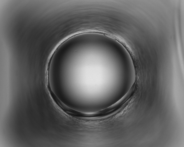 X0000096131524200801181102