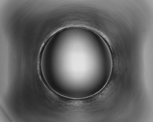 X0000096131525200801181102