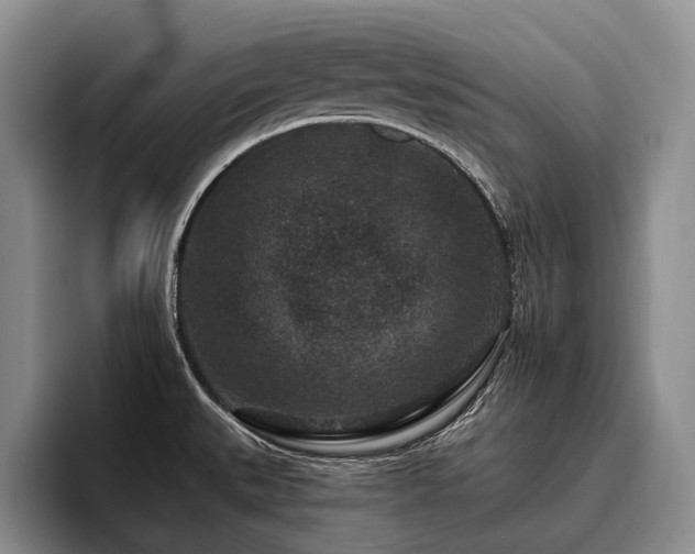 X0000096131527200801181102