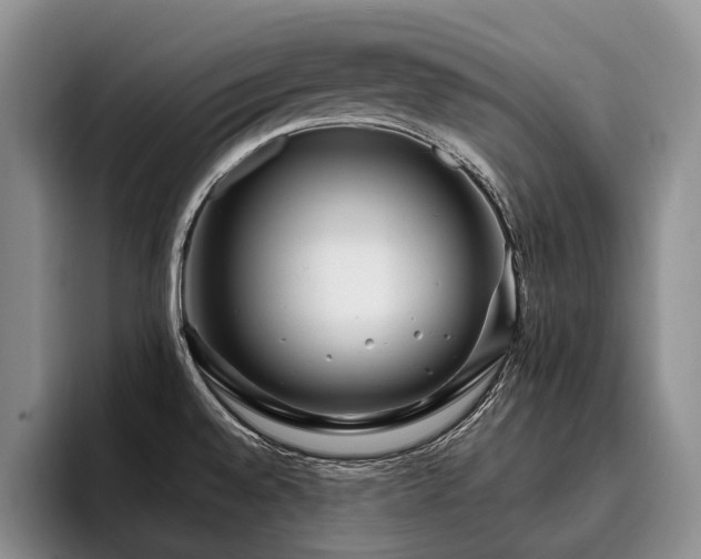 X0000096131528200801181102