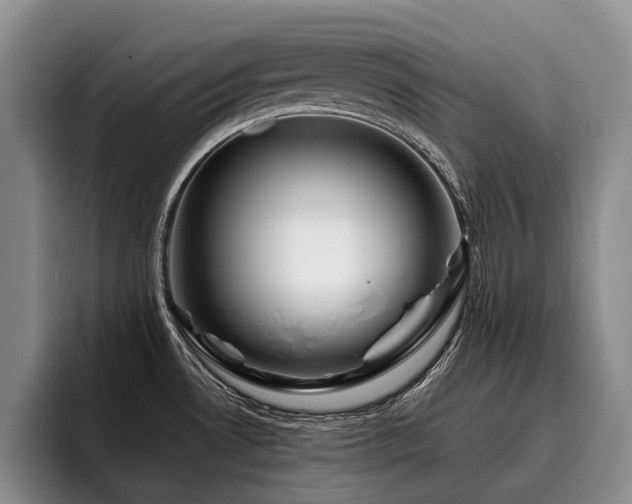 X0000096131530200801181102