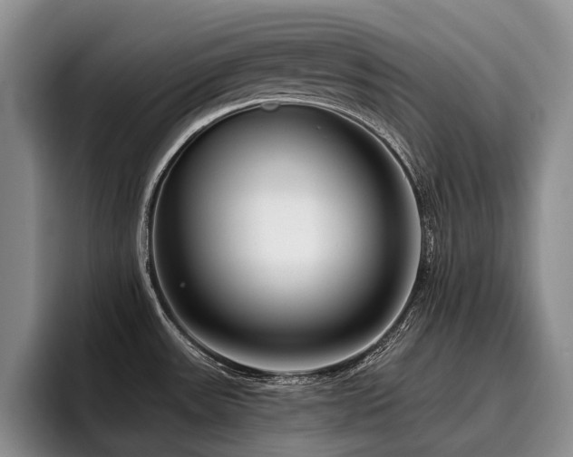 X0000096131531200801181102