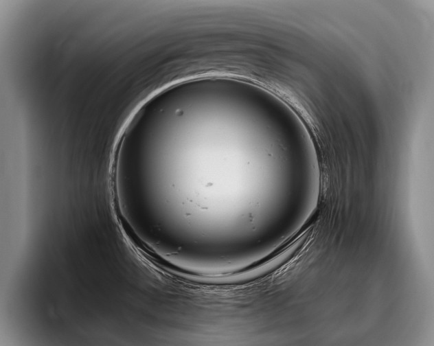 X0000096131532200801181102