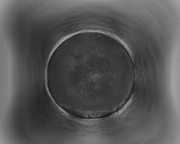 X0000096131533200801181102