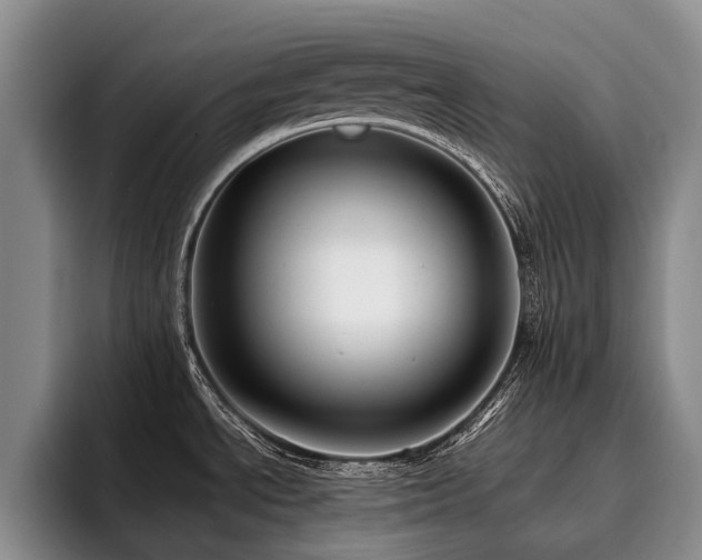 X0000096131534200801181102