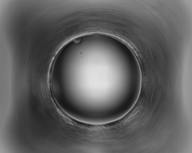 X0000096131535200801181102