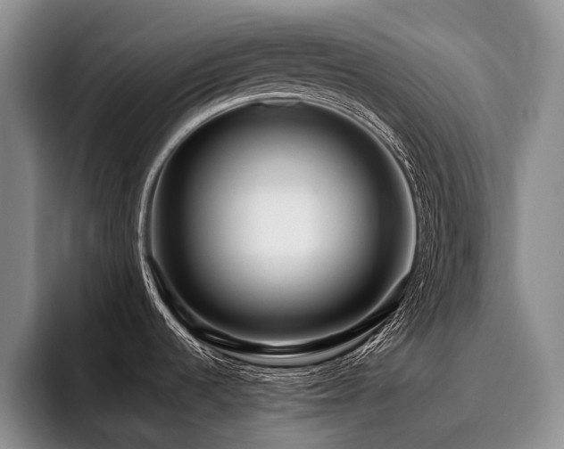 X0000096131536200801181102